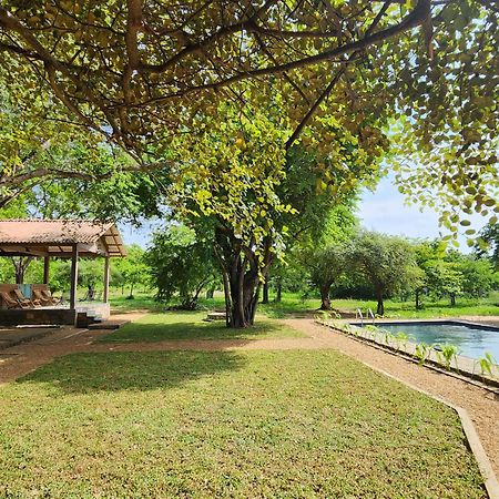 Hide Yala Bed & Breakfast Тисамахарама Екстериор снимка