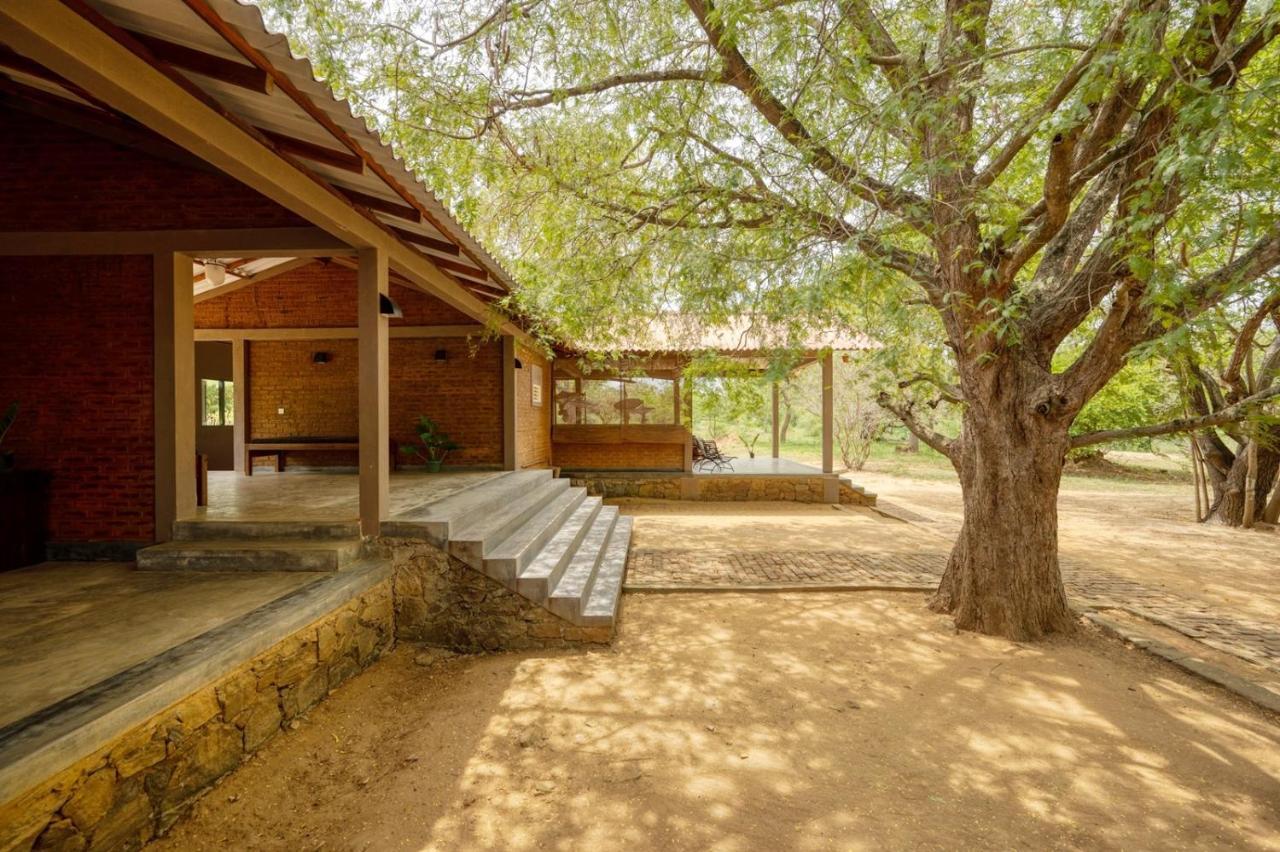 Hide Yala Bed & Breakfast Тисамахарама Екстериор снимка