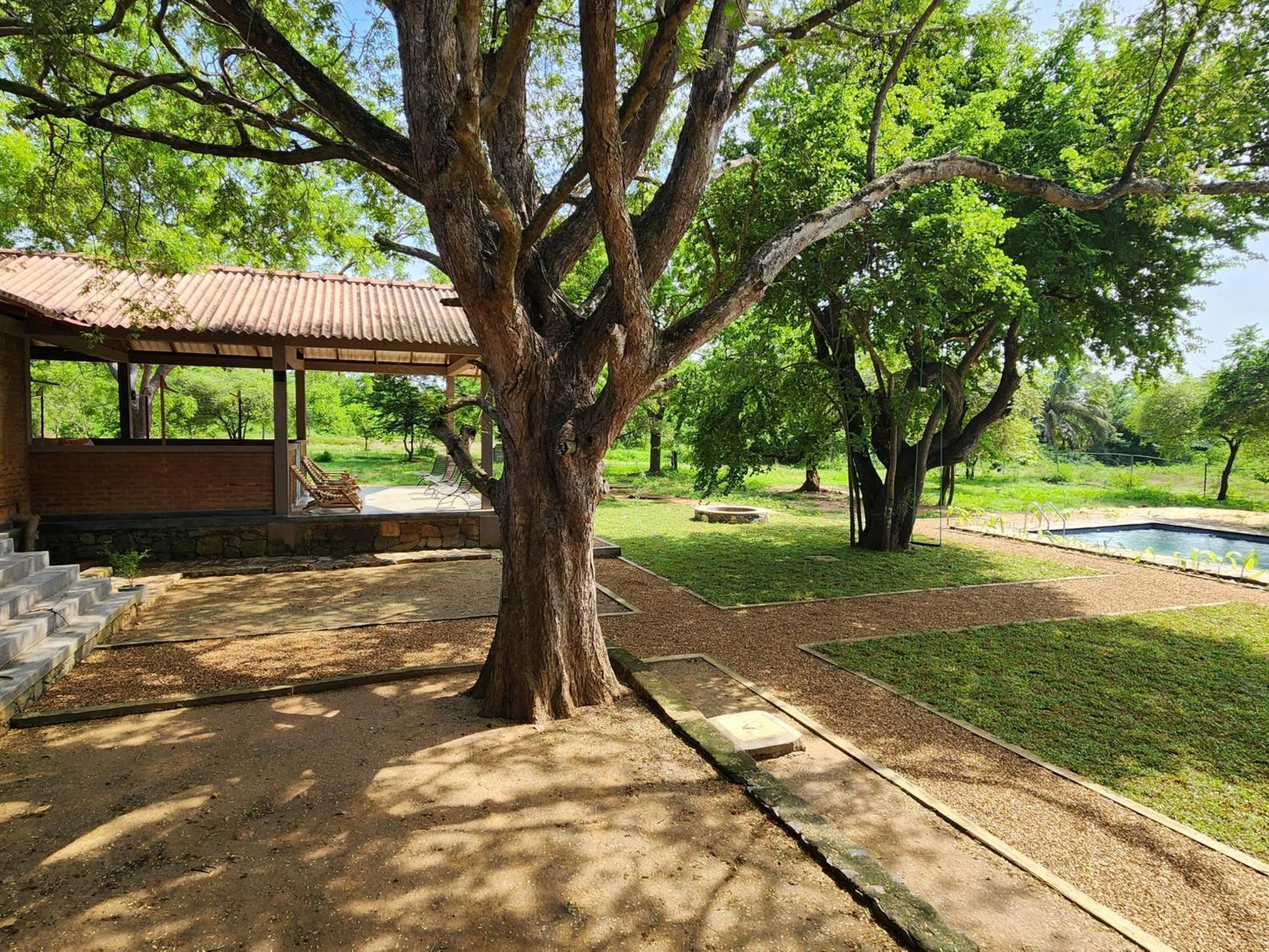 Hide Yala Bed & Breakfast Тисамахарама Екстериор снимка